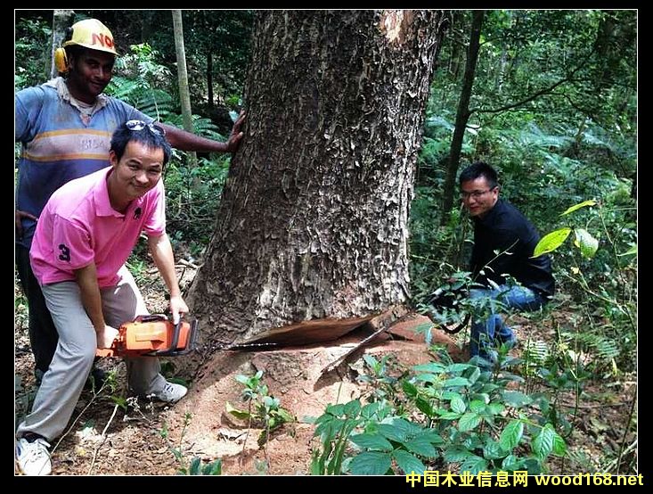 �ں��ҵ�Ԕ��(x��)��B