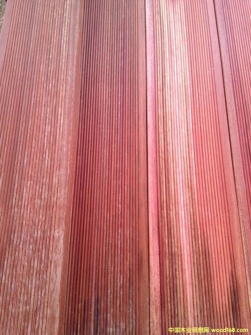 柳桉木3的詳細(xì)介紹