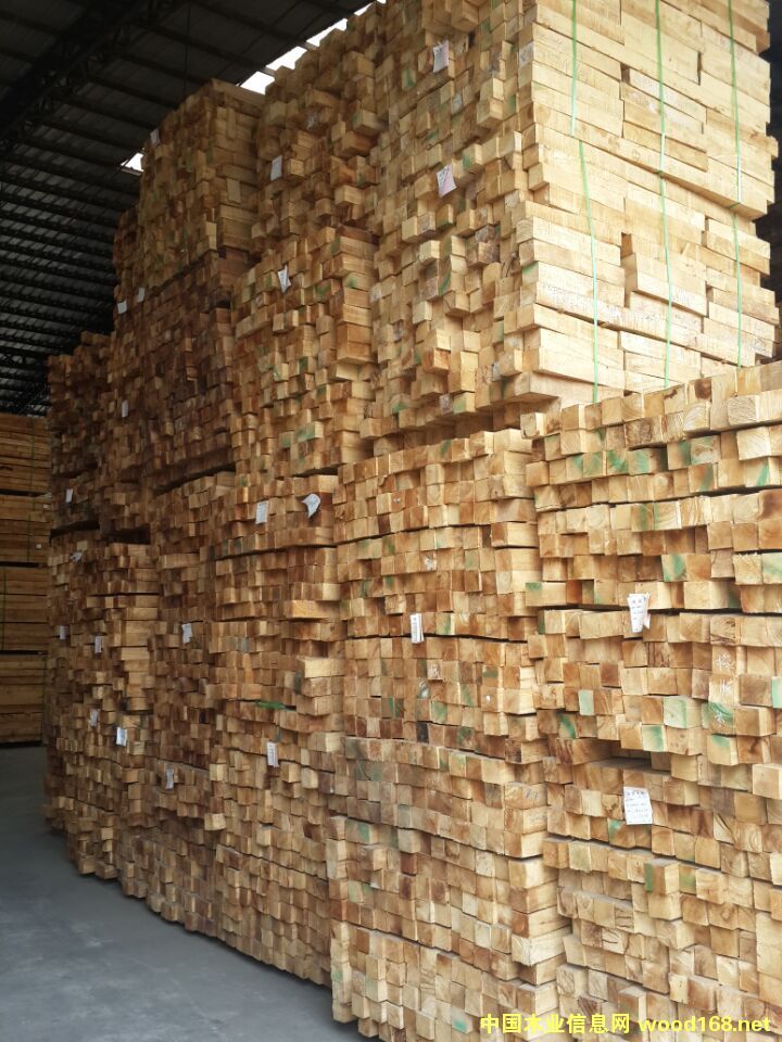 �d����ľ�I(y��)����(y��ng)�M(j��n)�����zľ���l��Ԕ��(x��)��B