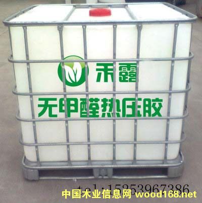 �󶹟oȩ�ذ��z��Ԕ��(x��)��B