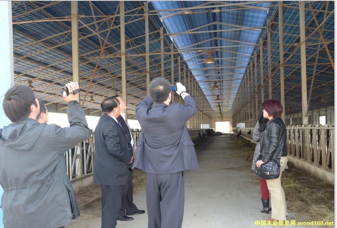 �ն��w�S���������ߵ�Ԕ����B