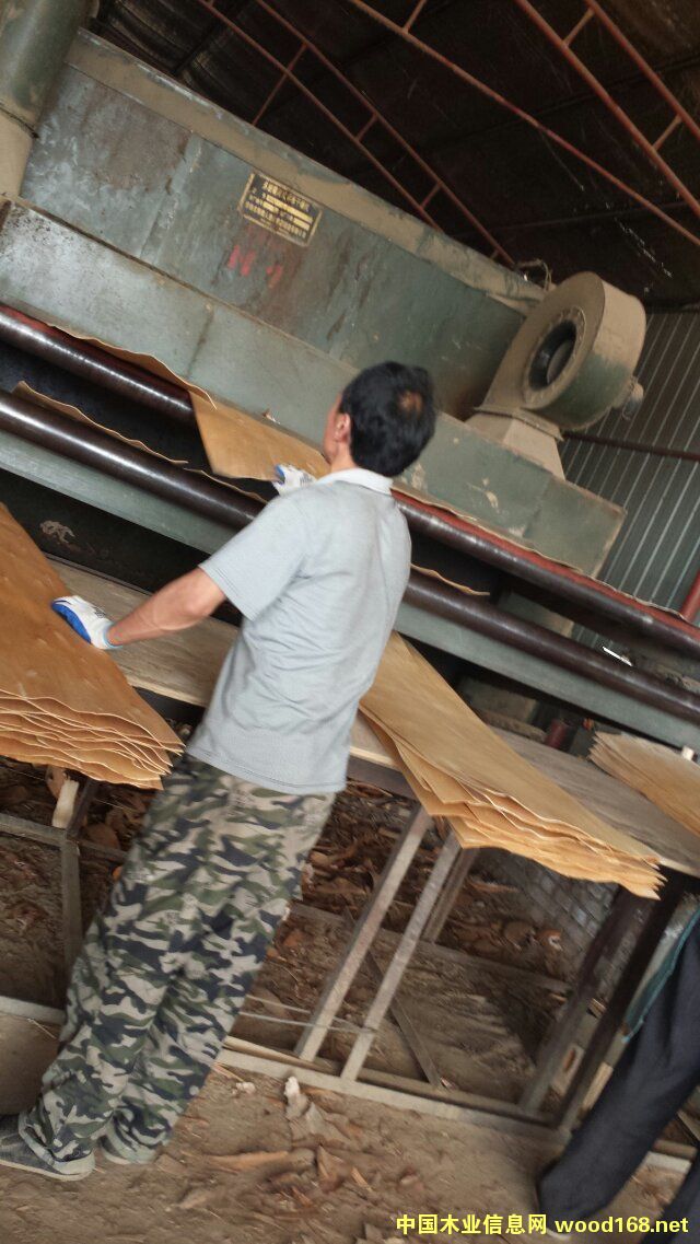 ��ľ�ΰ��Ԕ��(x��)��B