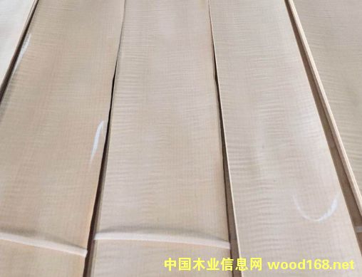 楓影的詳細(xì)介紹