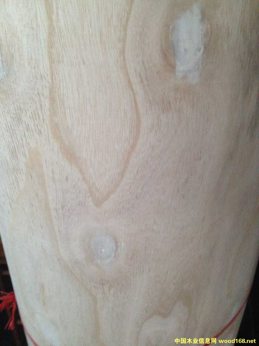 �������Ԕ����B