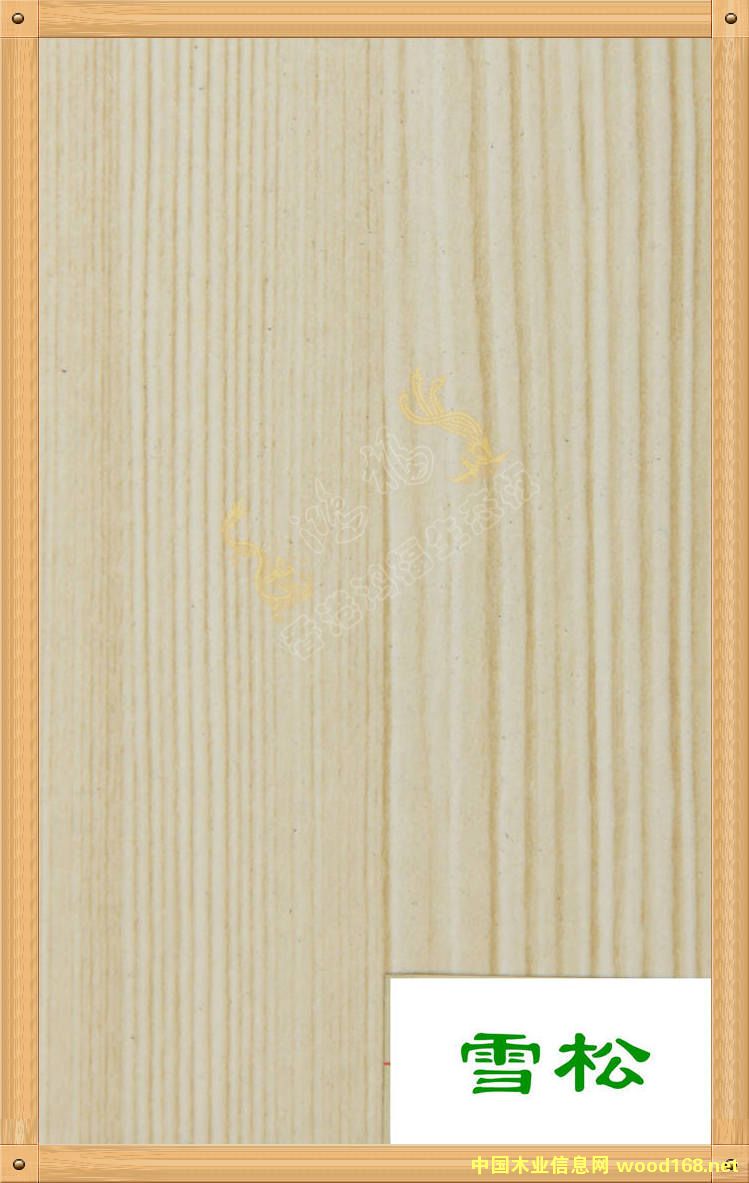 ����������B(t��i)��-ѩ�ɵ�Ԕ����B