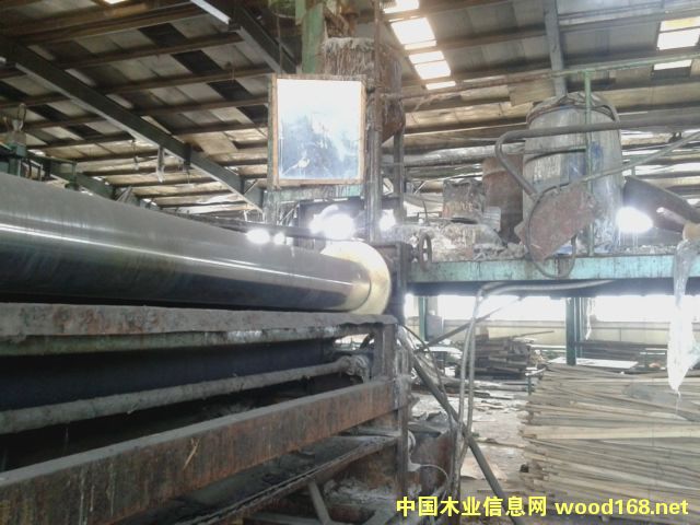 8���ձ�������MATSUNAGA��Ϳ�z�C