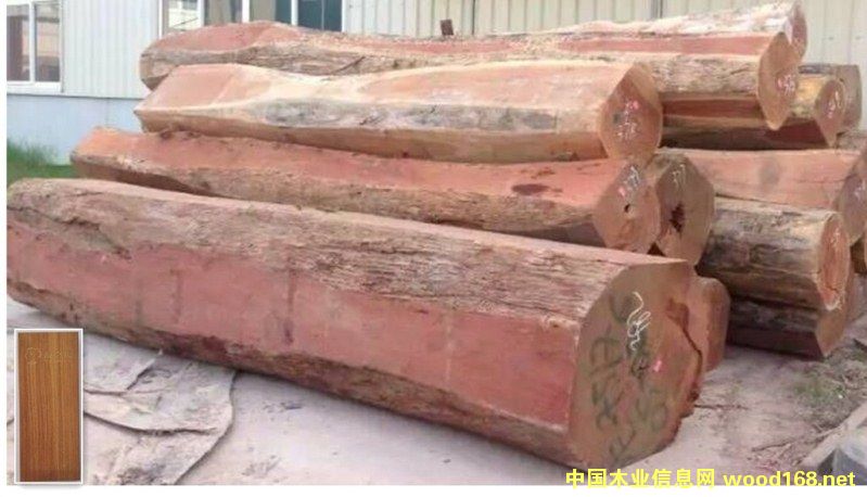 �t̴���Ԕ��(x��)��B