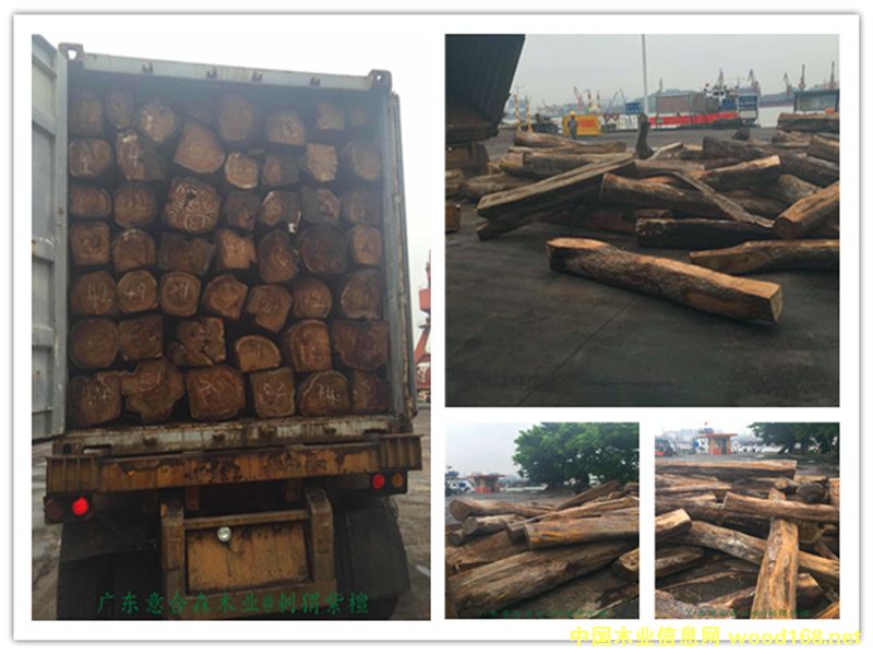 �����̴��Ԕ��(x��)��B