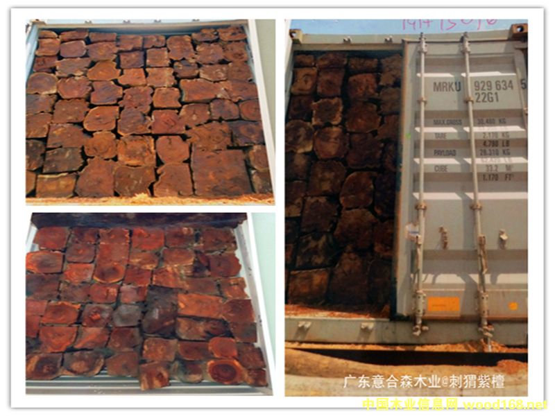 �����̴��Ԕ��(x��)��B