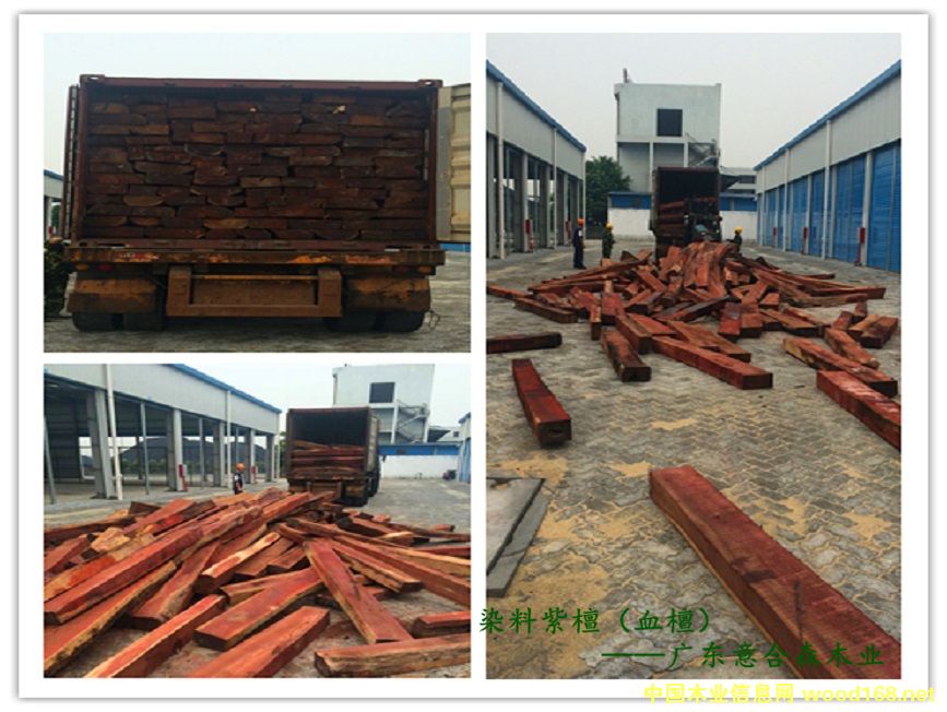 Ѫ̴��Ԕ��(x��)��B