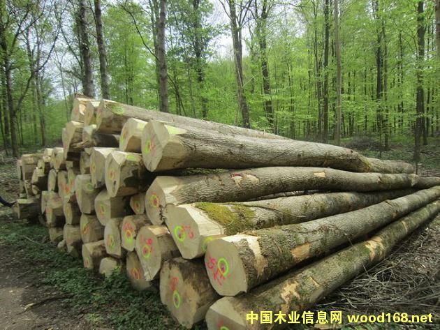 ˮ������Ԕ��(x��)��B