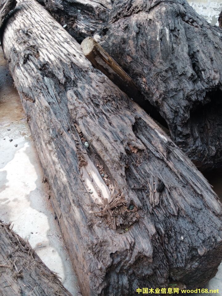 ��ľ��骘�(sh��)