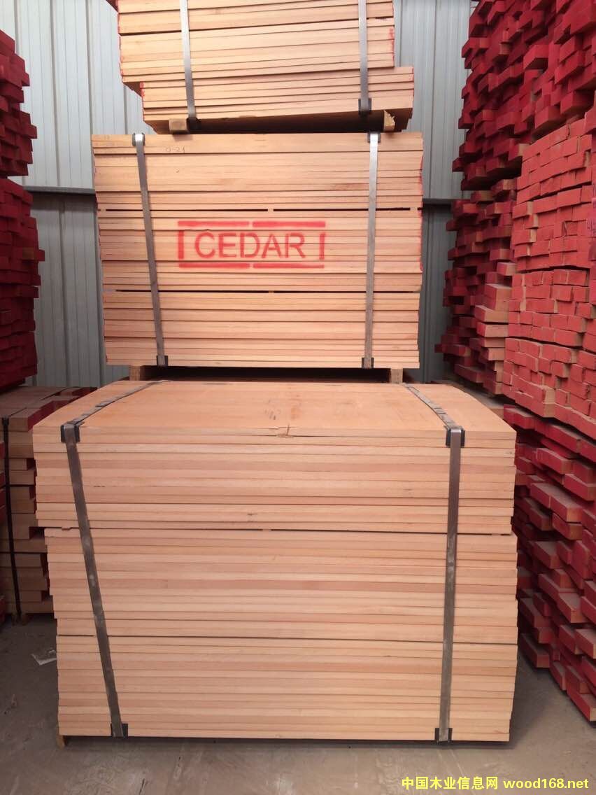 AB���W���M�ڙ�ľ����0.9-1.6M