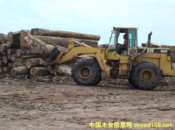 [��] ���P̴ ���ᶹ