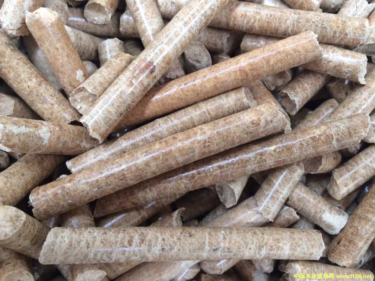 ľ�|�����w��