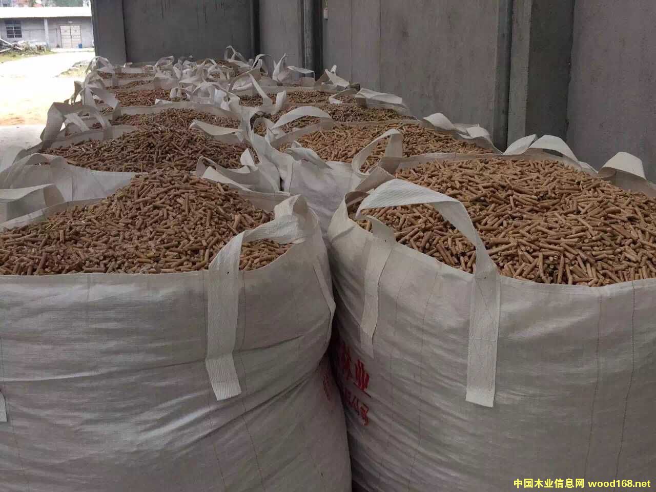 ľ�|�����w��