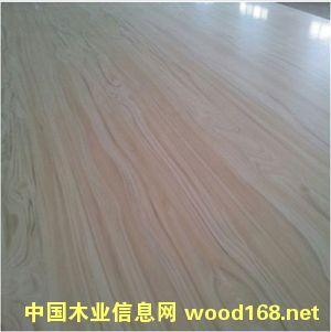 ���ܼ�ľ����