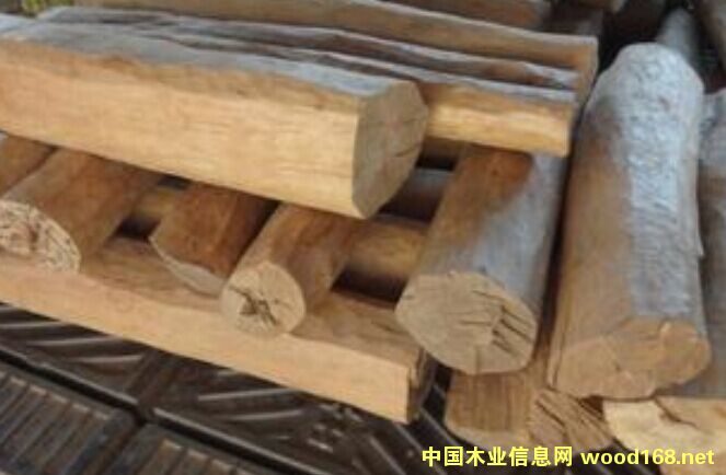 ӡ����ɽ̴��