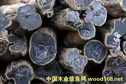 �������֦ԭľ