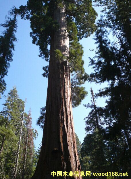 ���l(f��)����(n��i)�tɼԭľ