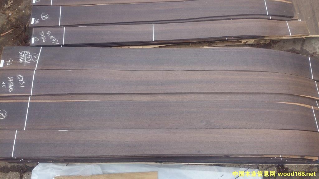 �W���M(j��n)��55�ß�ѬľƤ