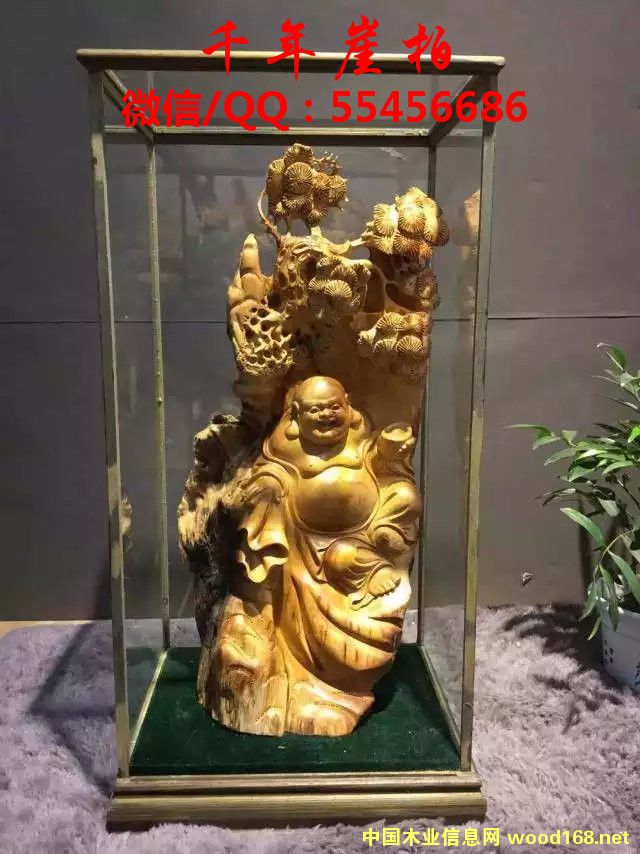 ̫��ɽ�°ظ����Ԕ��(x��)��B