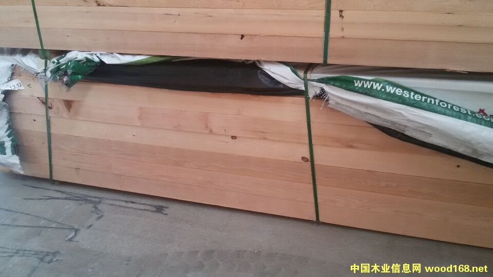 鐵杉的詳細(xì)介紹