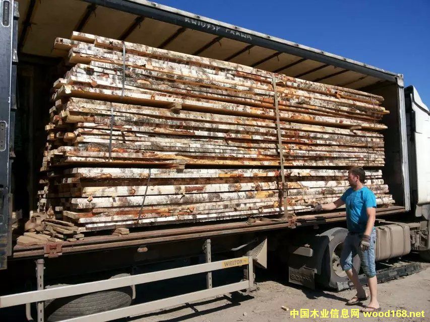 �W�ޘ�ľҎ(gu��)���� �������ϣ�  ë߅�� �����ľ��Ϟ�ľ