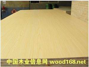 ��ľ���B(t��i)���Ԕ����B