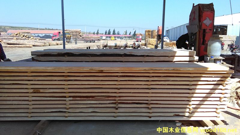 0的詳細(xì)介紹