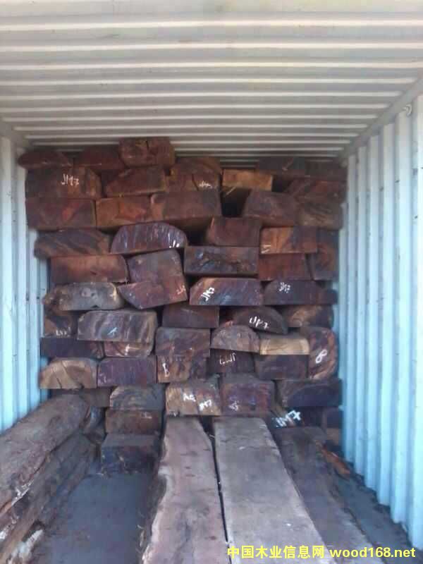 �t���޵�Ԕ����B