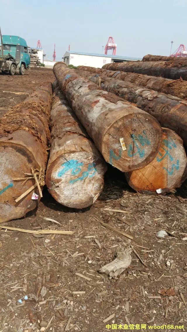 �a(ch��n)Ʒ�DƬ�����ô���-�Ї�ľ�I(y��)��Ϣ�W(w��ng)�a(ch��n)Ʒ���ȫ