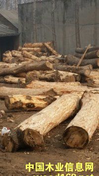 ��ľ��ĵ�Ԕ��(x��)��B