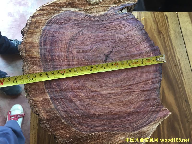 ZAMWINA ���Rľ��Ԕ��(x��)��B