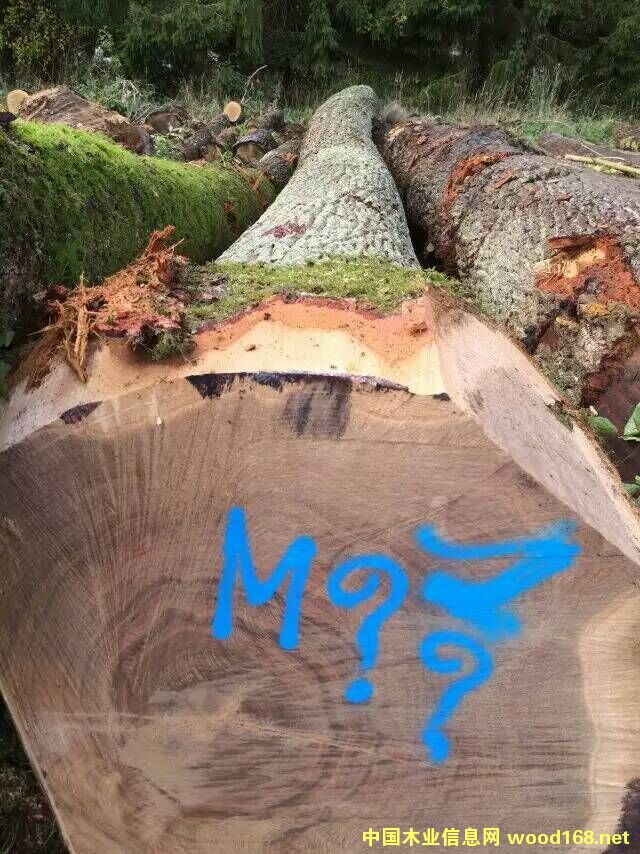 ��������ԭľ���̵�Ԕ����B