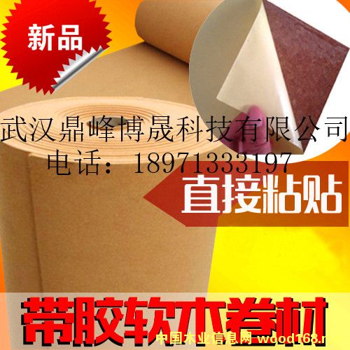 ���zܛľ��Ԕ��(x��)��B