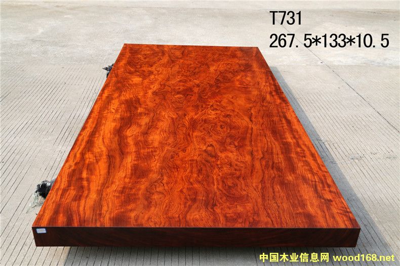 巴花的詳細(xì)介紹