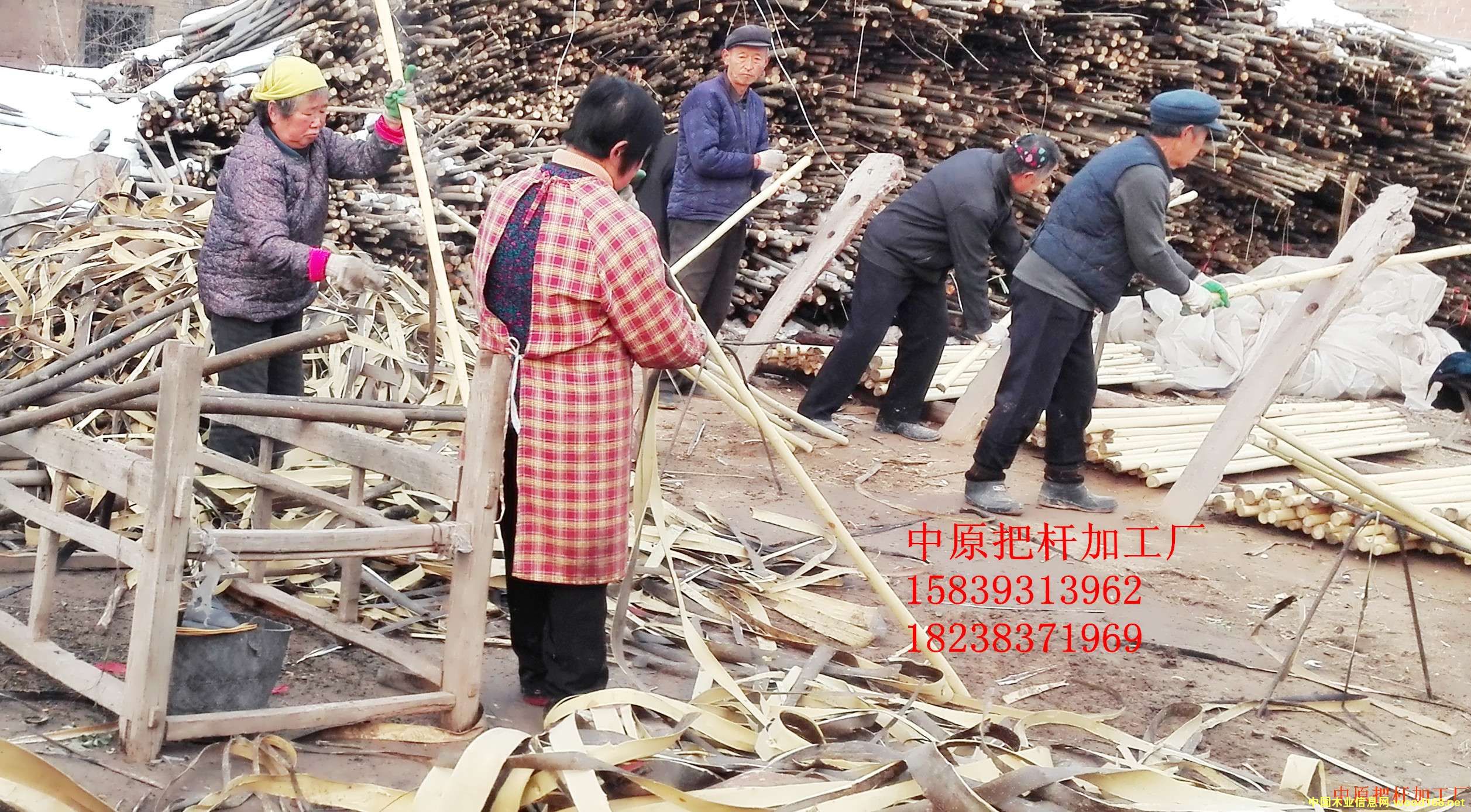 ���D�U, �ư�, �F�@��, �F���, ���, �N�ѵ�Ԕ��(x��)��B