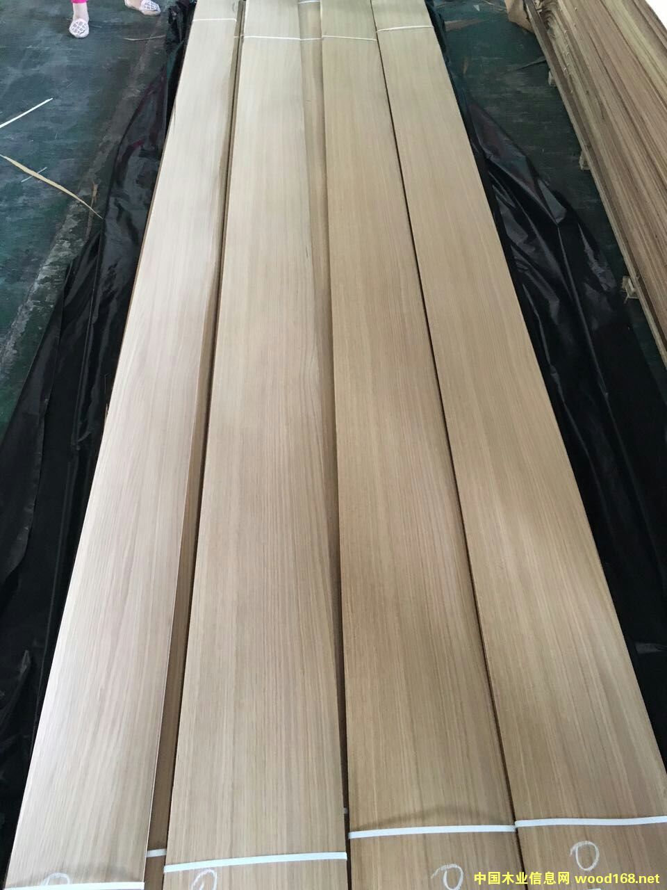 50�z����ֱ�yľƤ��Ԕ��(x��)��B