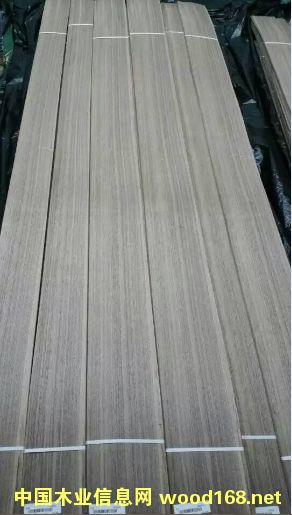 50�z�ں���ֱ�y��ȻľƤ