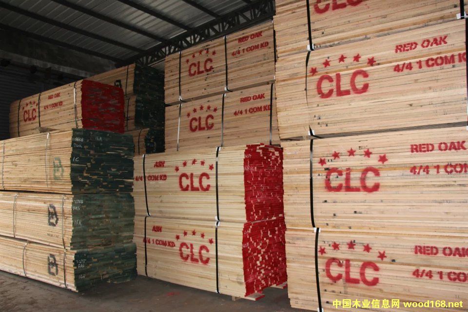 美國紅橡的詳細(xì)介紹