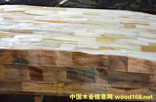 ����ľָ��ľƤ��Ԕ��(x��)��B