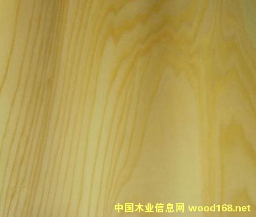 �ľ��(l��)���ϵ�Ԕ��(x��)��B