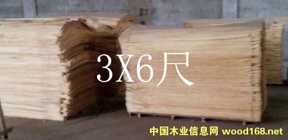  �ľľƤ��Ԕ��(x��)��B