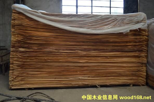 GAGľƤ��Ԕ����B