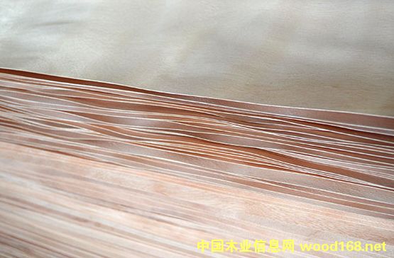 ɽ��ľƤ��Ԕ��(x��)��B