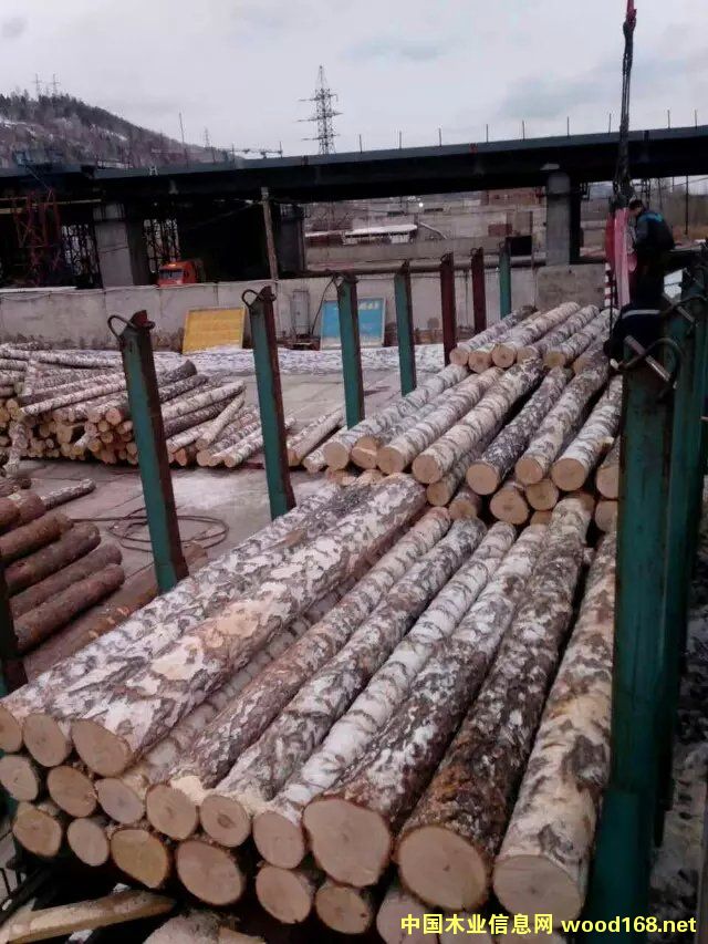 �ט�ԭľ��Ԕ��(x��)��B