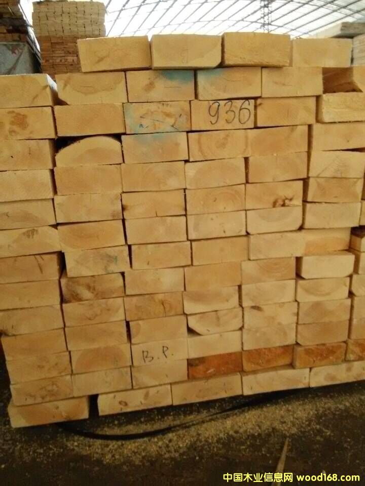 ��������ɰ��