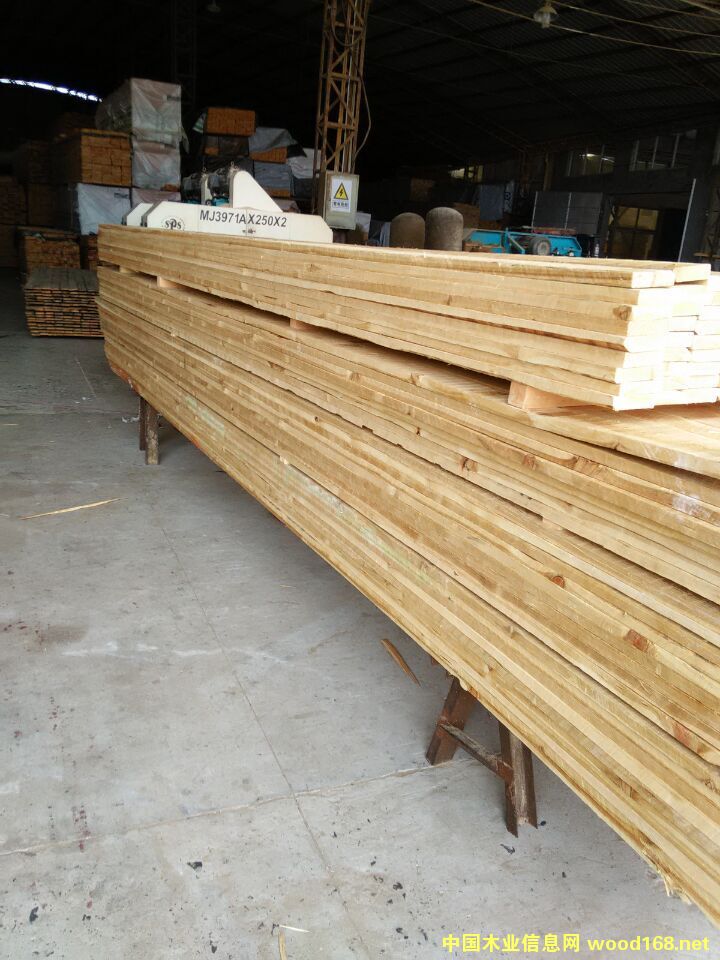 ���~��ľ��