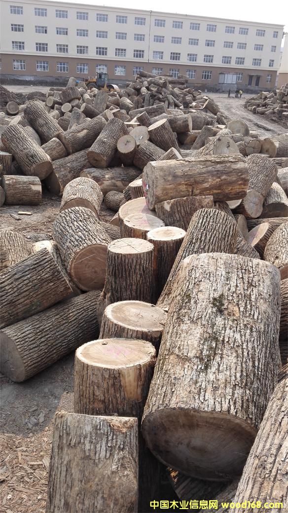 ˮ���������^��Ԕ����B